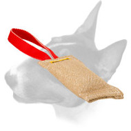 English Bull Terrier Jute Bite Tug with One Handle for Training Puppies English Bull Terrier Jute Bite Tug with One Handle for Training Puppies