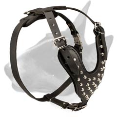 Fashion Studded Leather Bull Terrier Harness for Dog Walking