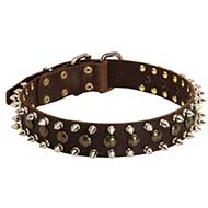 Leather Bull Terrier Collar with Brass Studs and Nickel Spikes Leather Bull Terrier Collar with Brass Studs and Nickel Spikes