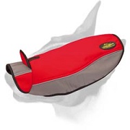 Warm Winter Nylon Bull Terrier Harness