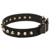 'Daily Elegance' English Bull Terrier Stylish Leather Dog Collar 'Daily Elegance' English Bull Terrier Stylish Leather Dog Collar