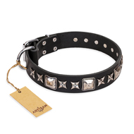 'Space Walk' FDT Artisan Black Leather English Bull Terrier Collar with Adornments