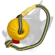 English Bull Terrier Interactive Dog Training Foam Toy English Bull Terrier Interactive Dog Training Foam Toy