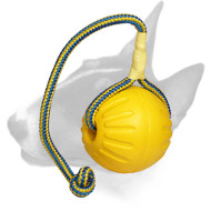 Bull Terrier "High Fly" Foam Ball for Training and Playing Bull Terrier "High Fly" Foam Ball for Training and Playing
