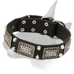 Leather Bull Terrier Collar with Nickel Studs and Vintage Plates