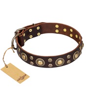 'Flower Melody' FDT Artisan Brown Leather Bull Terrier Dog Collar with Mixed Studs