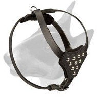 English Bull Terrier High Quality Leather Dog Harness for Puppies English Bull Terrier High Quality Leather Dog Harness for Puppies