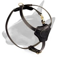 Adjustable Leather Bull Terrier Harness for Training Puppies