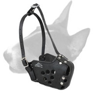 English Bull Terrier Military Leather Dog Muzzle English Bull Terrier Military Leather Dog Muzzle