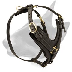 Exclusive Padded Designer Leather Bull Terrier Harness
