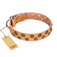 "Precious Sparkle" FDT Artisan Tan Leather English Bull Terrier Collar with Unique Design
