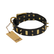 "Medieval Style" FDT Artisan Leather Collar with Brass Plates and Spikes for English Bull Terrier