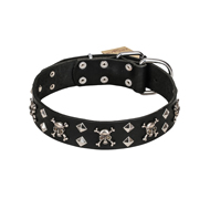FDT Artisan 'Rock 'n' Roll Style' Leather English Bull Terrier Collar with Skulls, Bones and Studs 1 1/2 inch (40 mm) wide