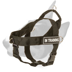 Lightweight Nylon Bull Terrier Harness for Training