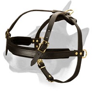 Leather Bull Terrier Harness for Dog Training and Pulling activities