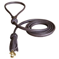 Handmade Leather Bull Terrier Leash for Walking and Tracking