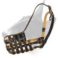 Royal Soft Padded Leather Bull Terrier Muzzle Royal Soft Padded Leather Bull Terrier Muzzle