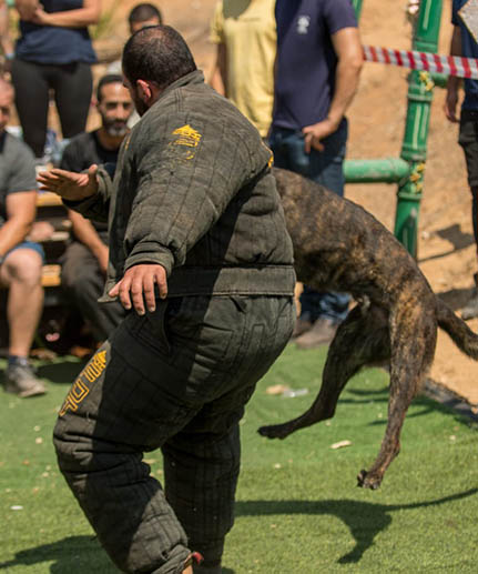 extra strong protection bite suit for training black