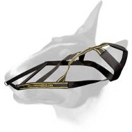 Special Nylon Bull Terrier Harness for Skijoring and Sledding