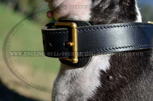 Rust Proof Brass Buckle and Fur Protection Plate of Leather Dog Collar