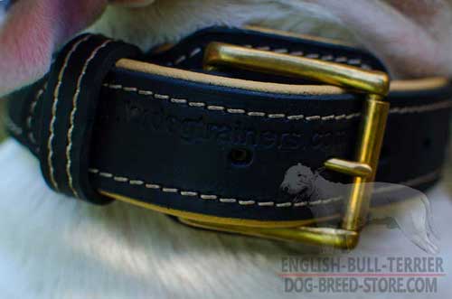 Strong Brass Buckle on Nappa Padded Leather Dog Collar