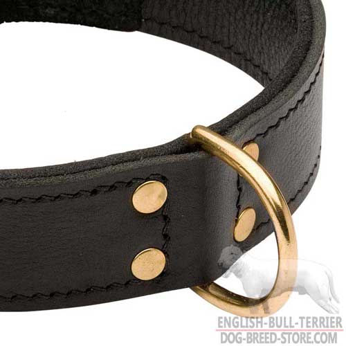 Solid Brass D-Ring on Walking Leather Dog Collar for Leash Attachment