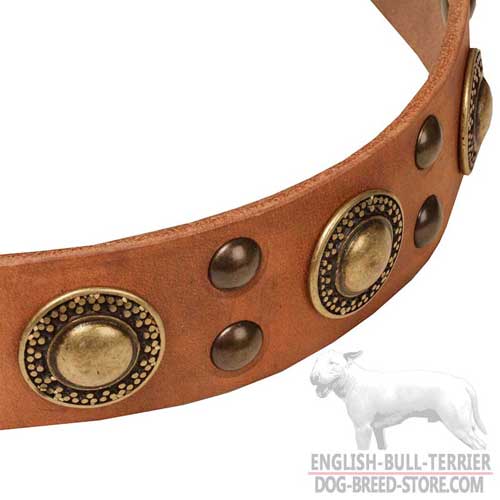 Leather Collar for English Bull Terrier Everyday  Activities