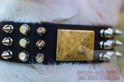 Brass Plates and Nickel Studs and Spikes on Strong Designer Leather Dog Collar for Bull Terrier