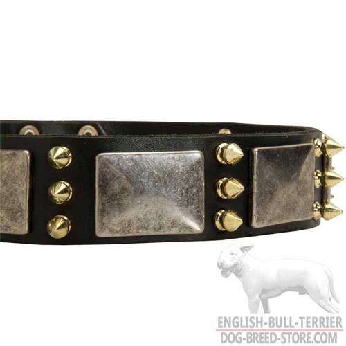 Brass Spikes on Bull Terrier Collar