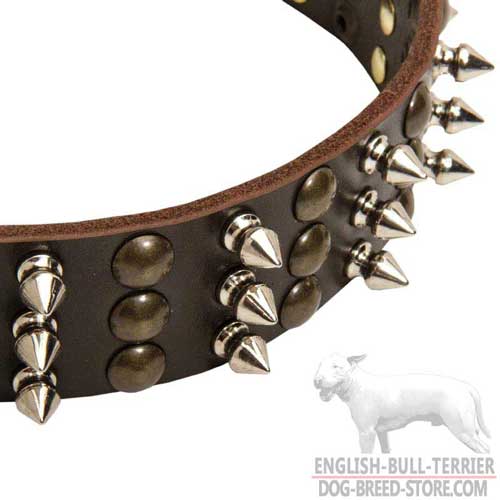 Studs and Spikes on Leather Bull Terrier Collar 