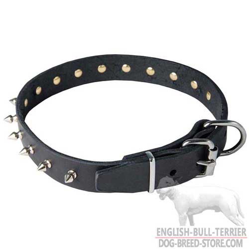 Rust Proof Buckle And D-ring On Easy Adjustable Leather Dog Collar