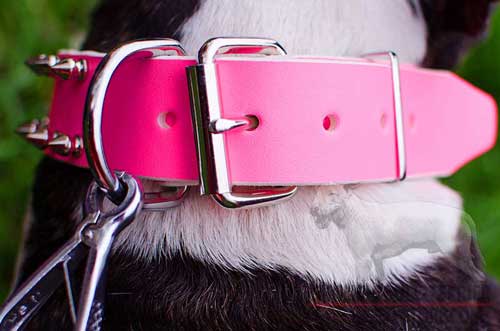 Strong Nickel Plated Buckle and D-Ring Of Pink Leather Dog Collar