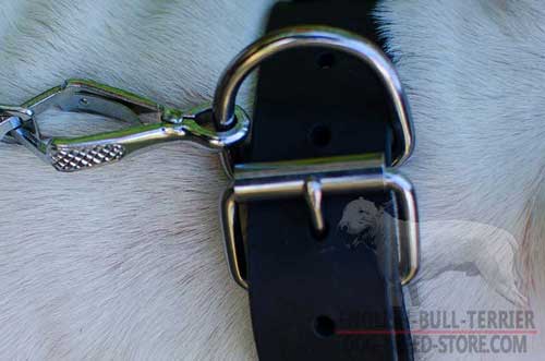 Solid Rustless Nickel Plated Buckle On Soft Leather Bull Terrier Collar