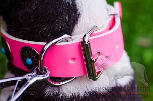 Rustless Buckle On Leather Dog Collar