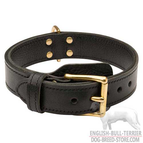 Training Leather Dog Collar for Bull Terrier with Brass Buckle