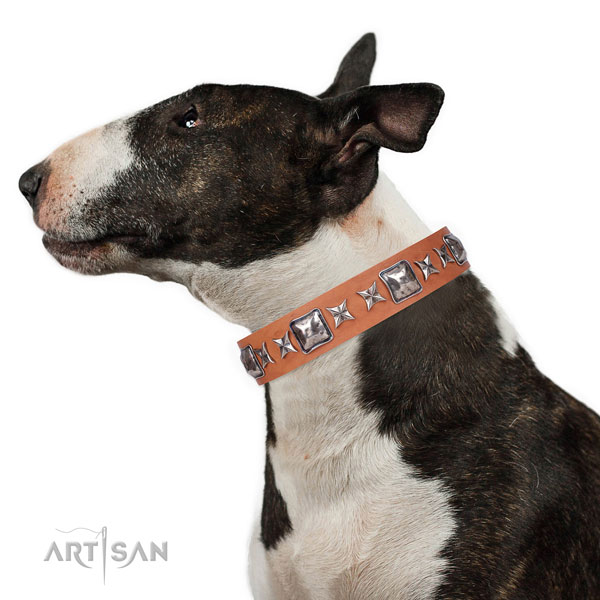 Stylish walking studded dog collar of durable material