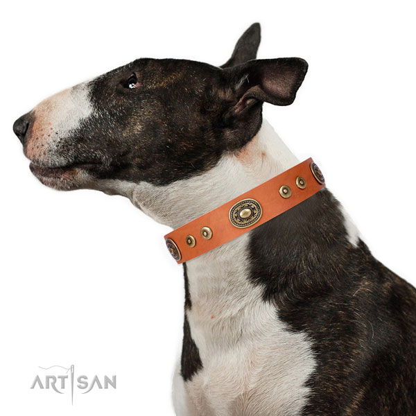 Remarkable adorned natural leather dog collar for comfortable wearing