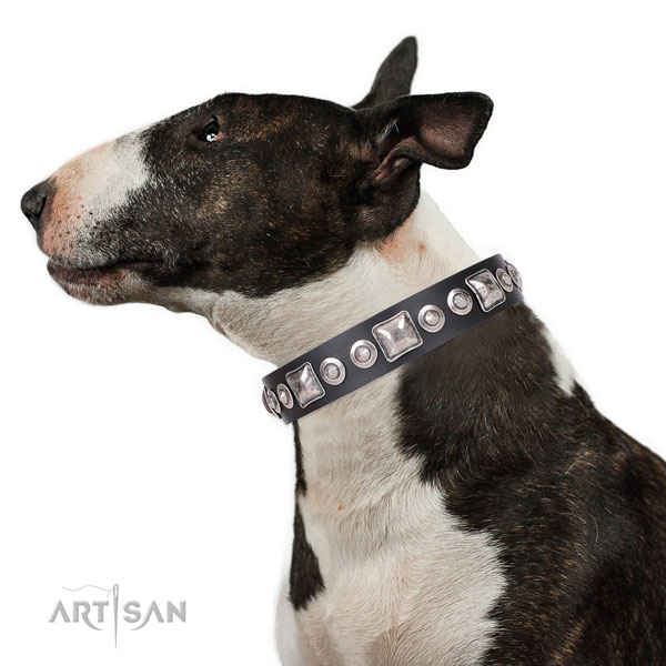 Unusual adorned natural leather dog collar for comfortable wearing