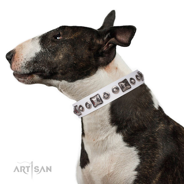 Awesome adorned natural leather dog collar for daily walking
