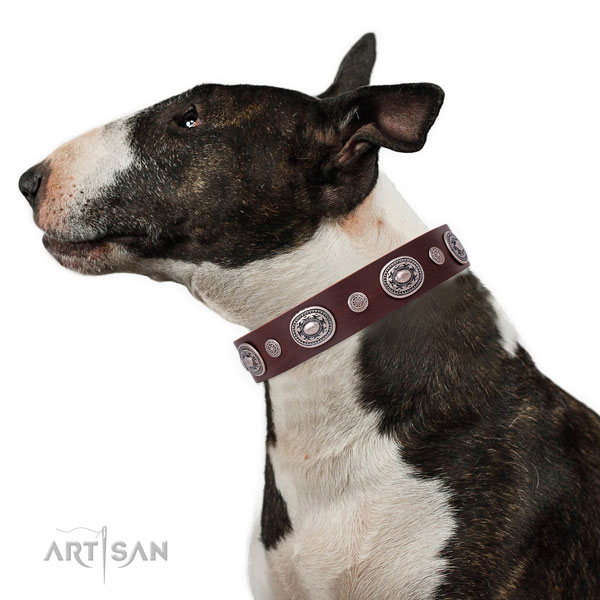 Rust resistant buckle and D-ring on natural leather dog collar for daily walking