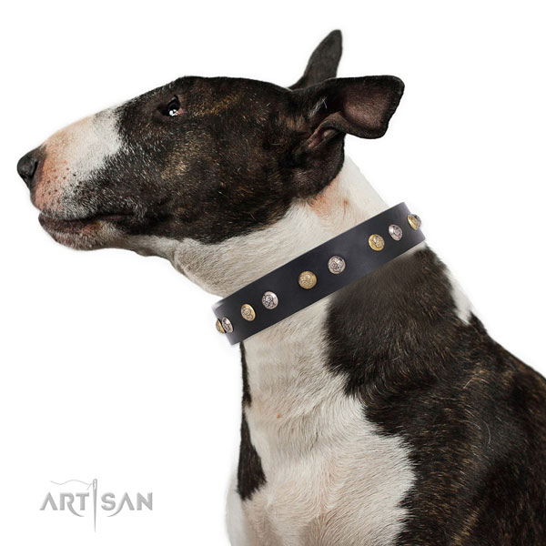 Full grain leather dog collar with strong buckle and D-ring for everyday use