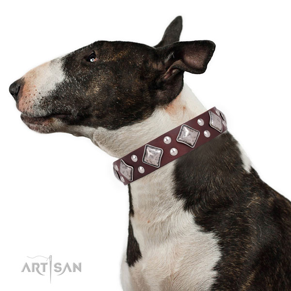 Everyday walking studded dog collar made of top rate natural leather