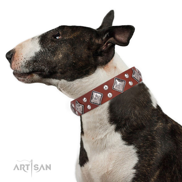 Stylish walking adorned dog collar made of top notch natural leather