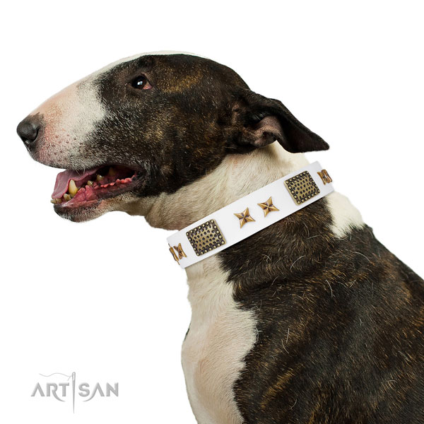 Amazing adornments on everyday walking full grain natural leather dog collar
