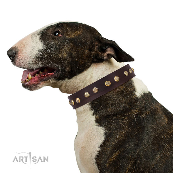 Trendy studs on daily walking full grain genuine leather dog collar