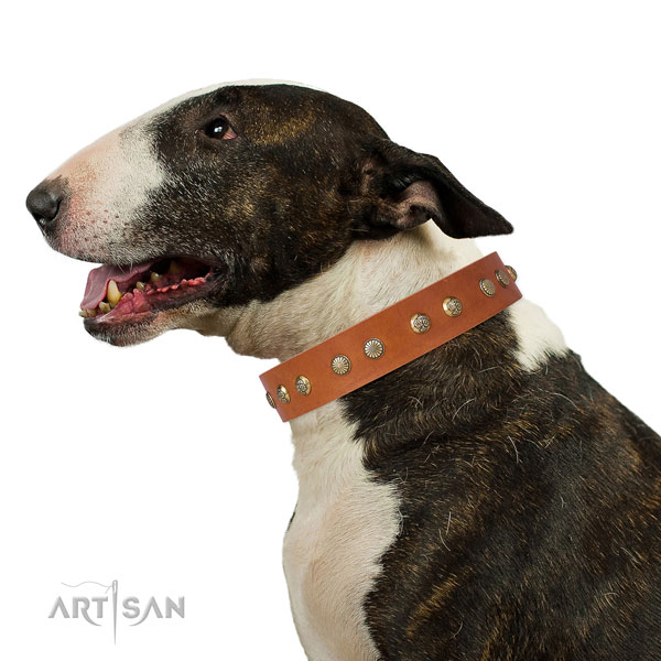 Stylish design studs on fancy walking genuine leather dog collar