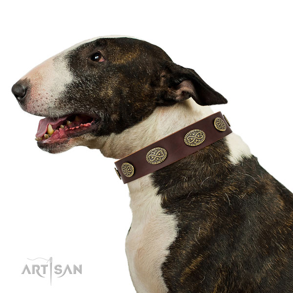 Trendy decorations on handy use full grain leather dog collar