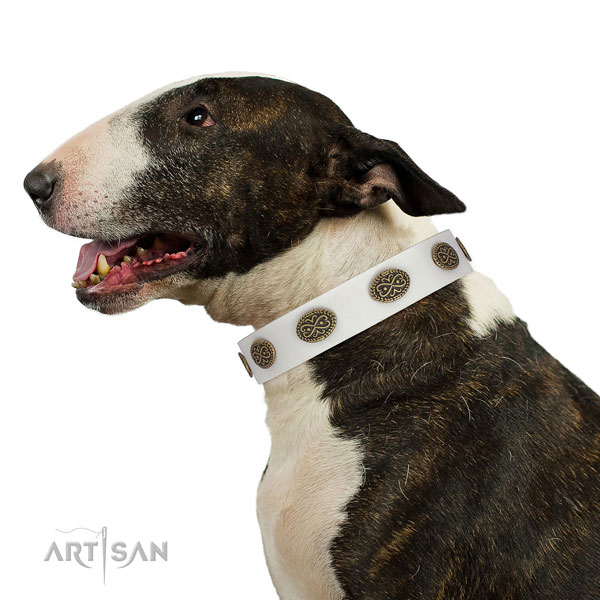 Exquisite studs on easy wearing full grain genuine leather dog collar