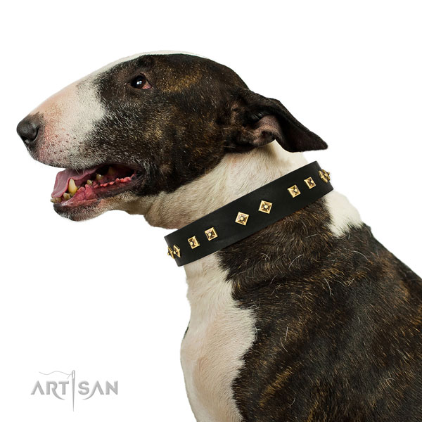 Exquisite studs on easy wearing full grain genuine leather dog collar