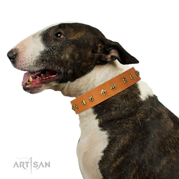 Fashionable adornments on comfy wearing dog collar